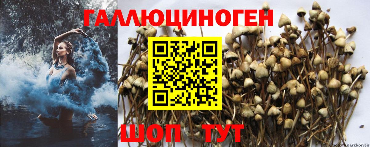 Галлюциногенные грибы MAGIC MUSHROOMS Липецк